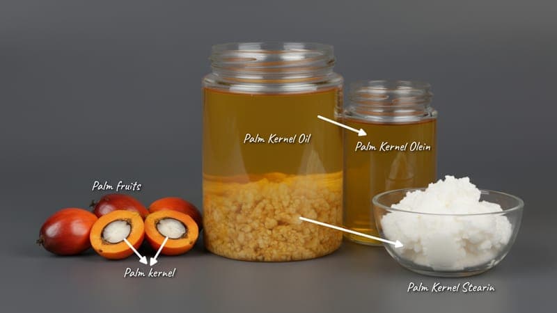 Palm Kernel Stearin – Oleochemicals product from Bio Green Wax