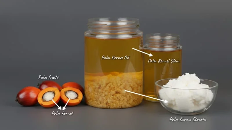 Palmkernolein — feedstock option for Essen und Trinken