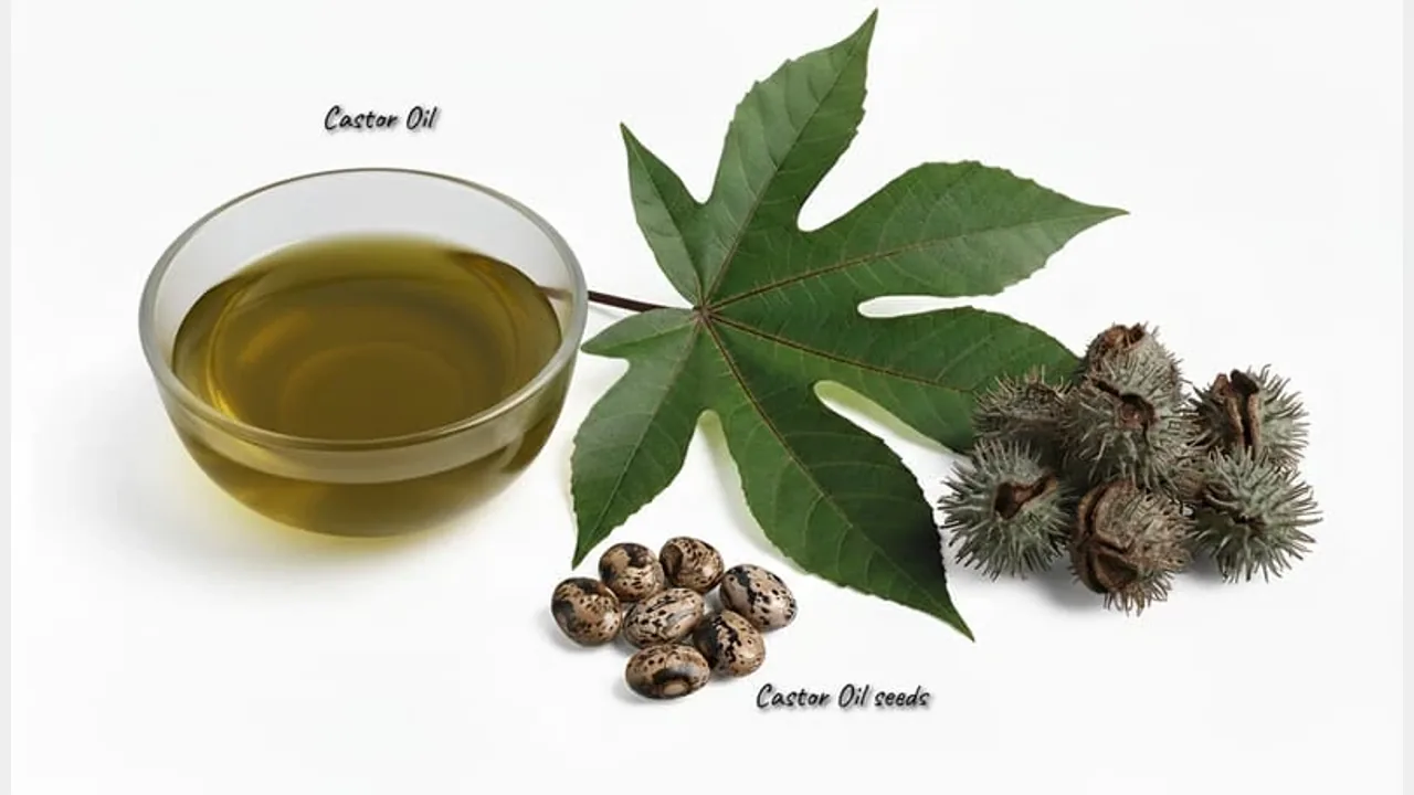 Castor Oil — feedstock option for Pharmaceuticals