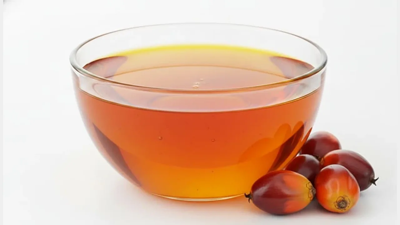 Palm Olein — feedstock option for Food & Beverage
